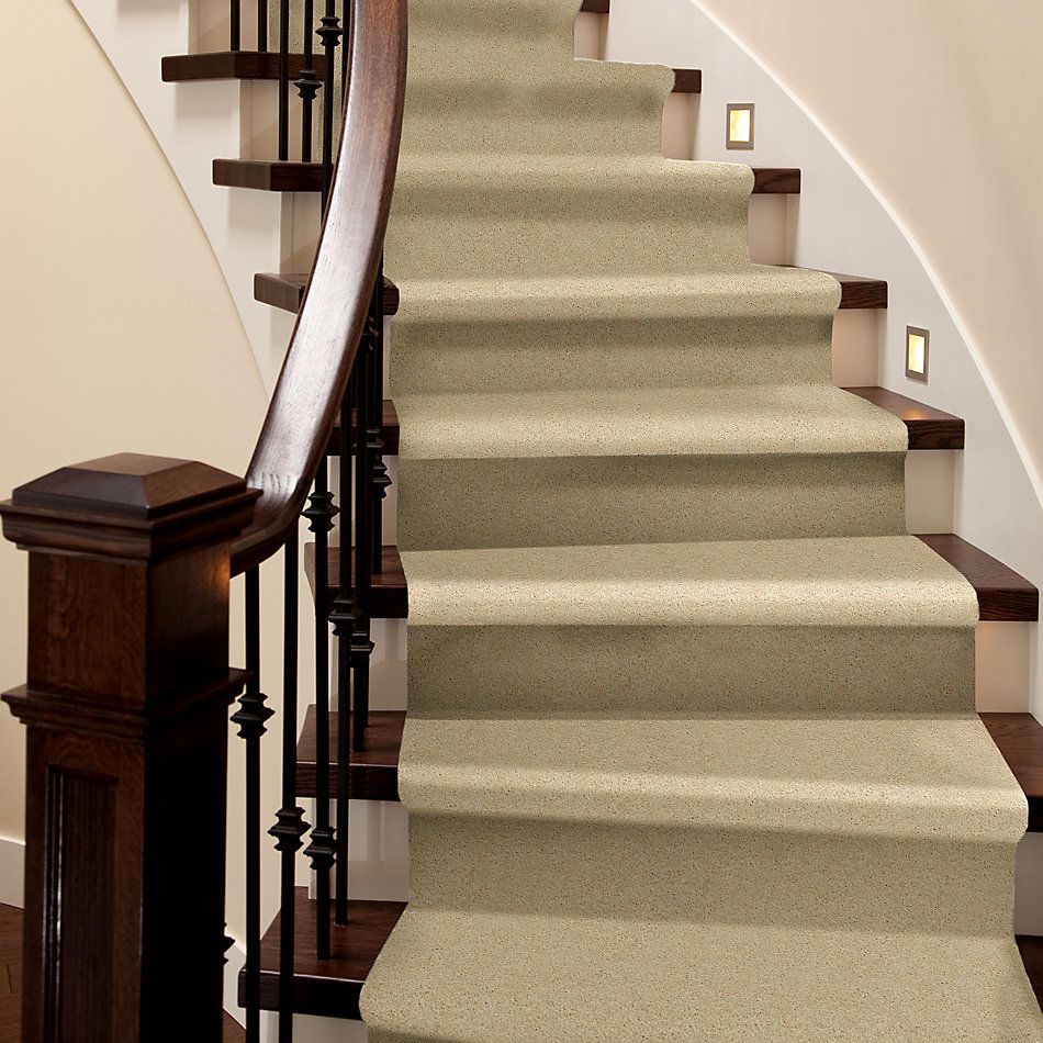 Shaw Floors Nfa/Apg Detailed Style III Chamois 00220_NA030