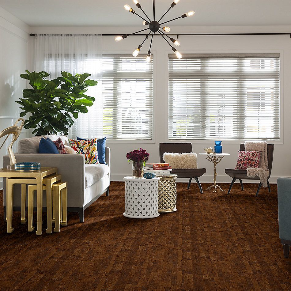 Shaw Floors Richmond American Homes Classic Cider 00221_HA014