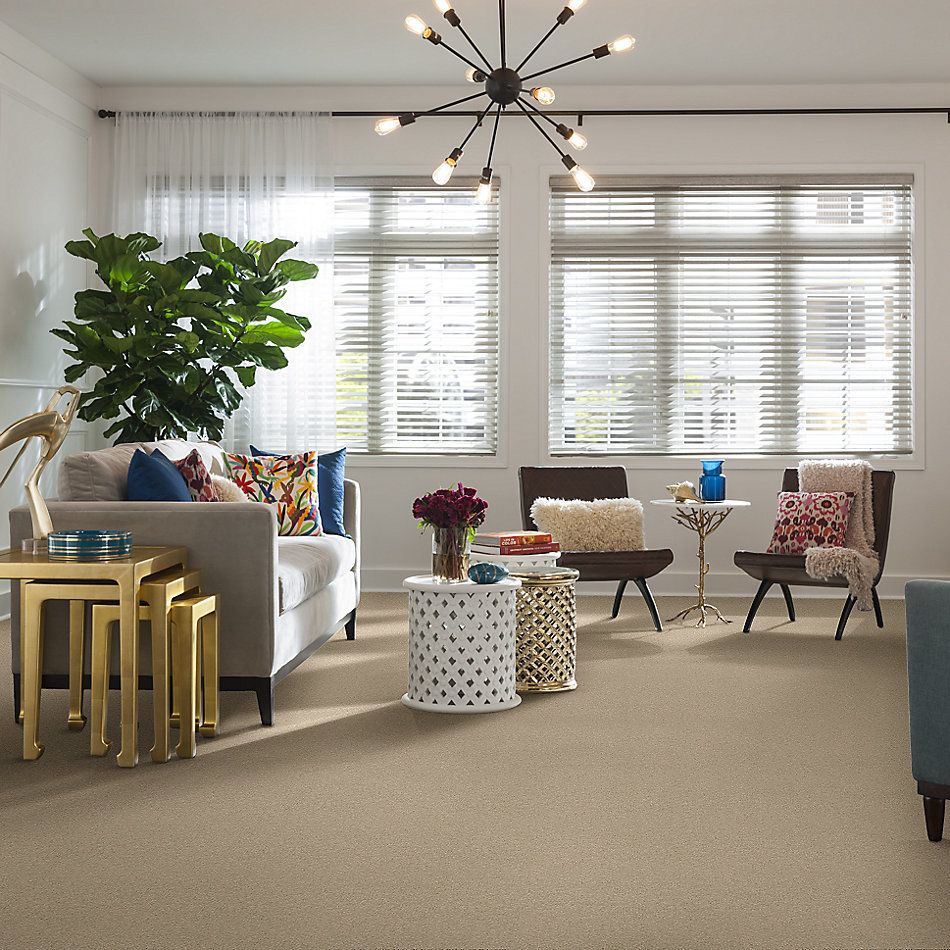 Anderson Tuftex Value Collections Ts362 Dorset Cream 00221_TS362