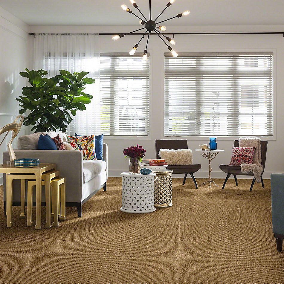 Anderson Tuftex SFA Skylite Fine Sand 833SF_00222