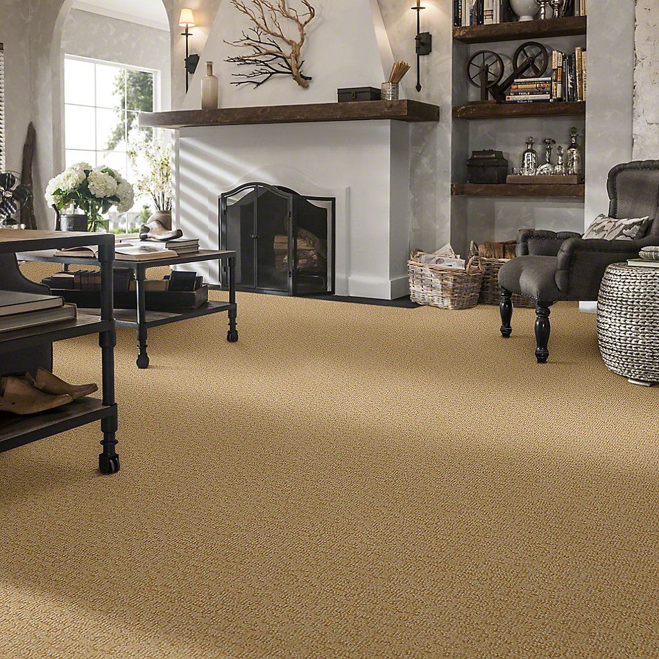 Anderson Tuftex Alante Iverson Fine Sand 831AG_00222