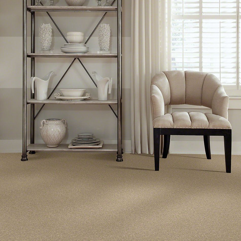 Anderson Tuftex American Home Fashions Real Life I Navajo 00222_ZZA03
