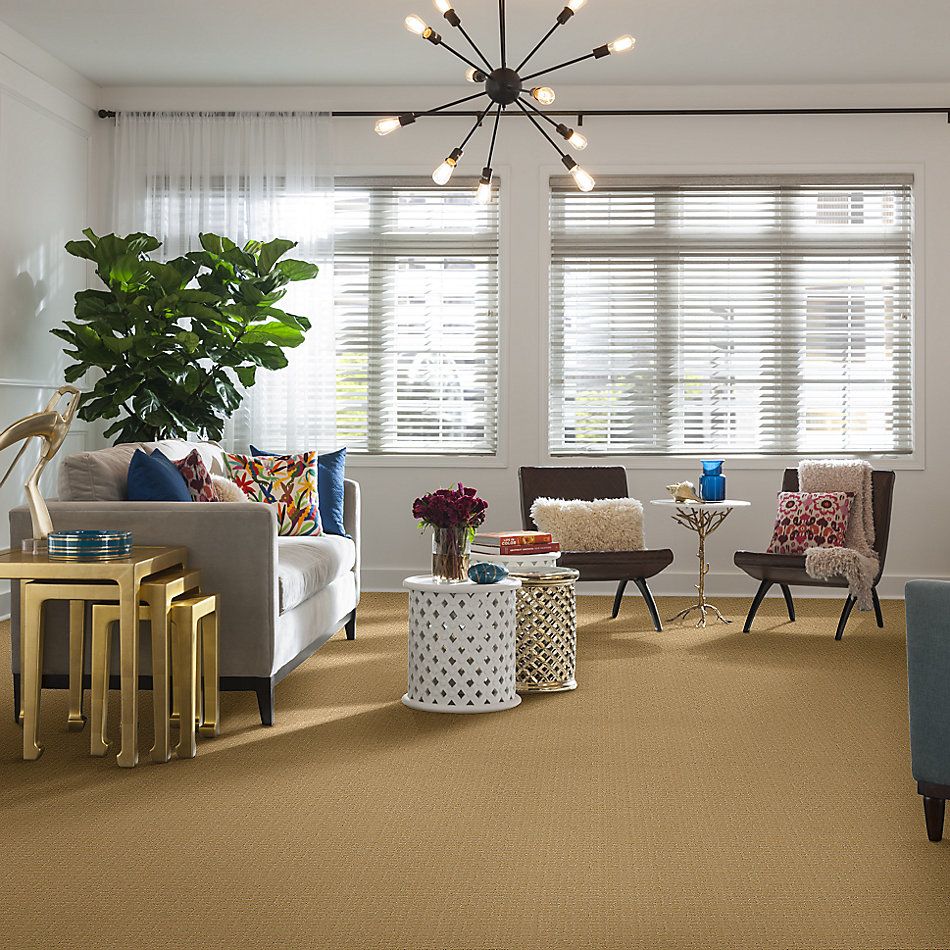 Anderson Tuftex Builder Merle Cork 00223_ZZB81