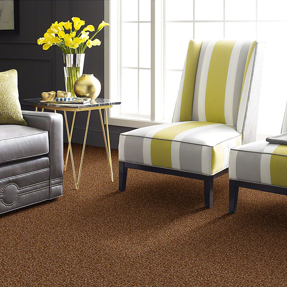 Anderson Tuftex Uptown Girl Fun, Fun Golden Rule 169AG_00227