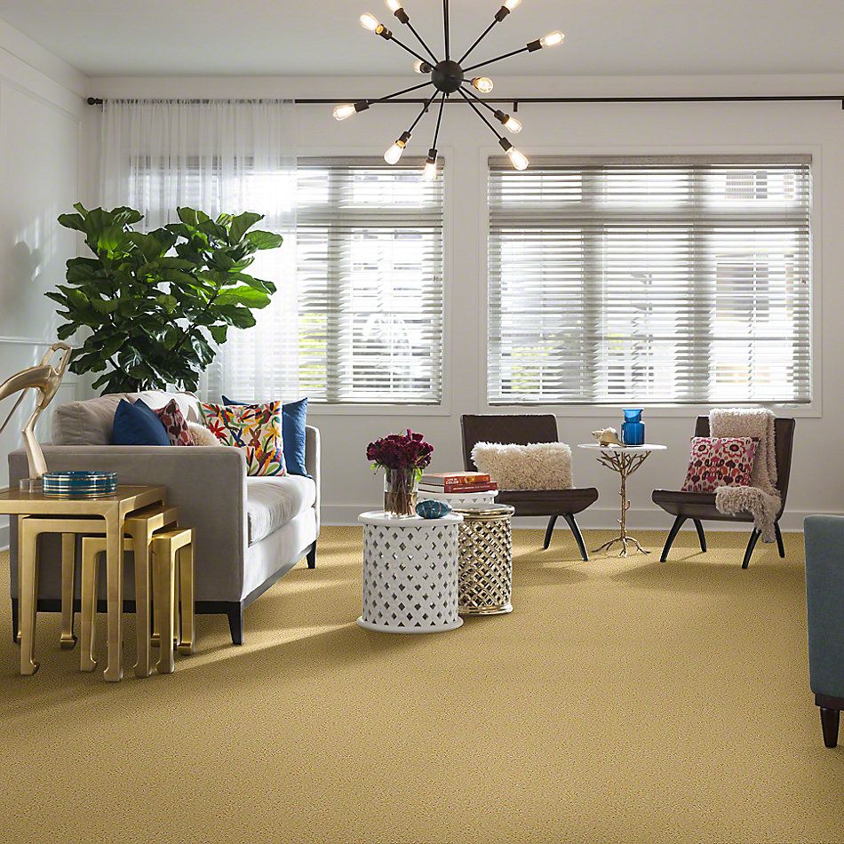 Shaw Floors Shaw Flooring Gallery Kid’s Club Lemon Drop 00230_5325G