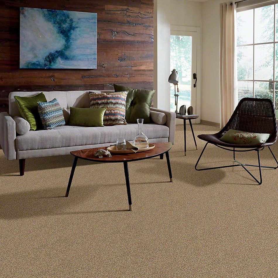 Shaw Floors SFA Fundamentals (a) Bamboo 00230_EA498