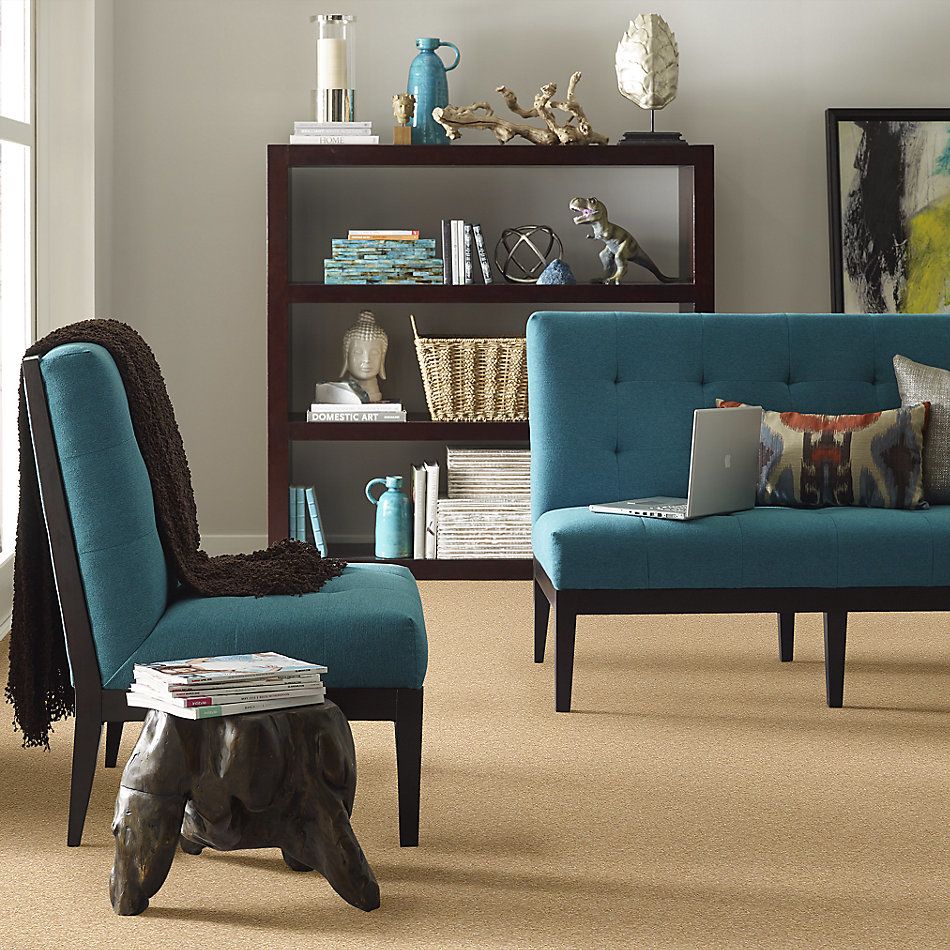 Anderson Tuftex Builder Sheer Genius II Macadamia 00232_ZB942