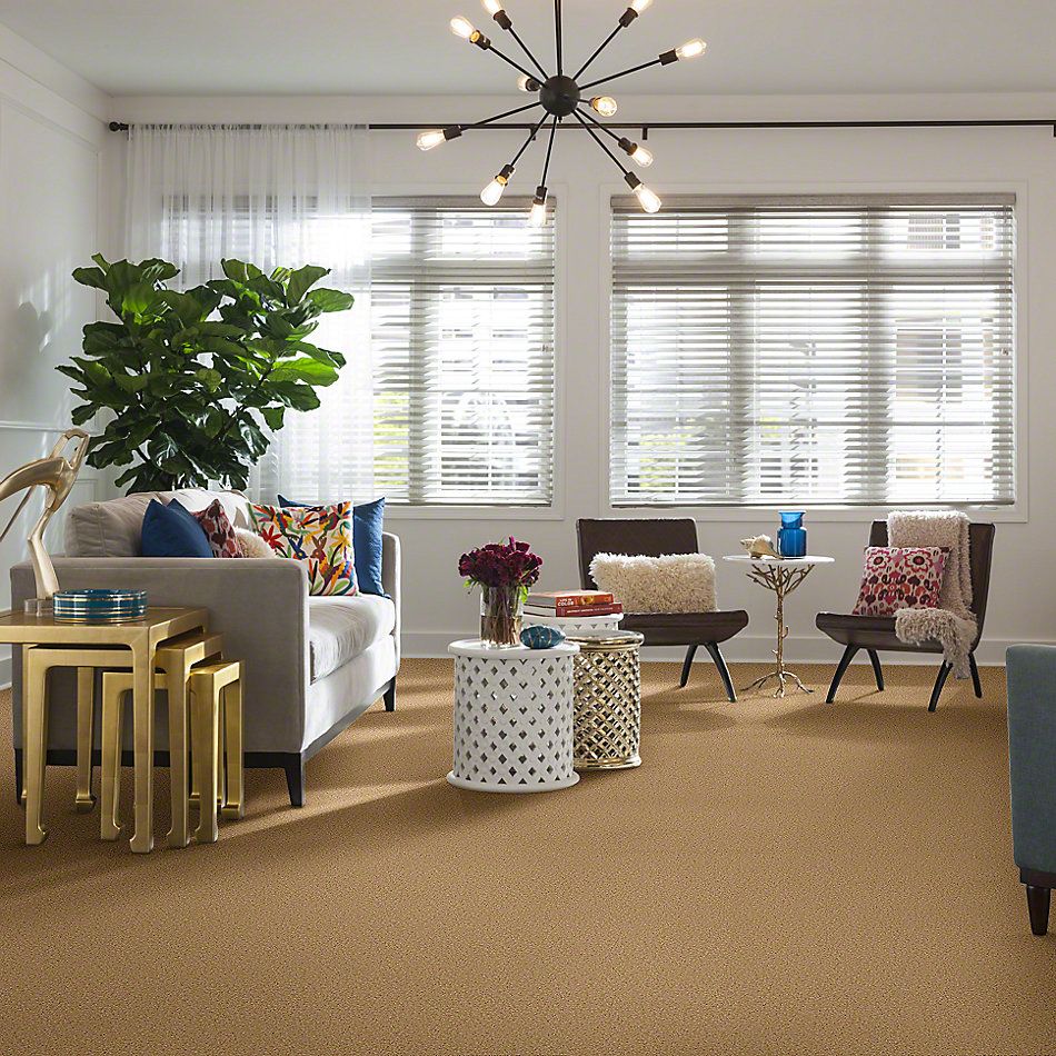 Shaw Floors Full Court 12′ Sun Beam 52Y46_00240