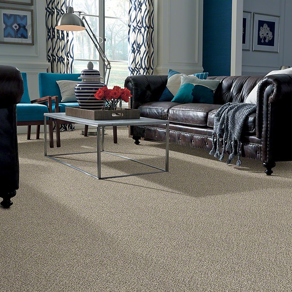 Shaw Floors Simply The Best Cabana Life (b) Net Beach House 00250_5E004