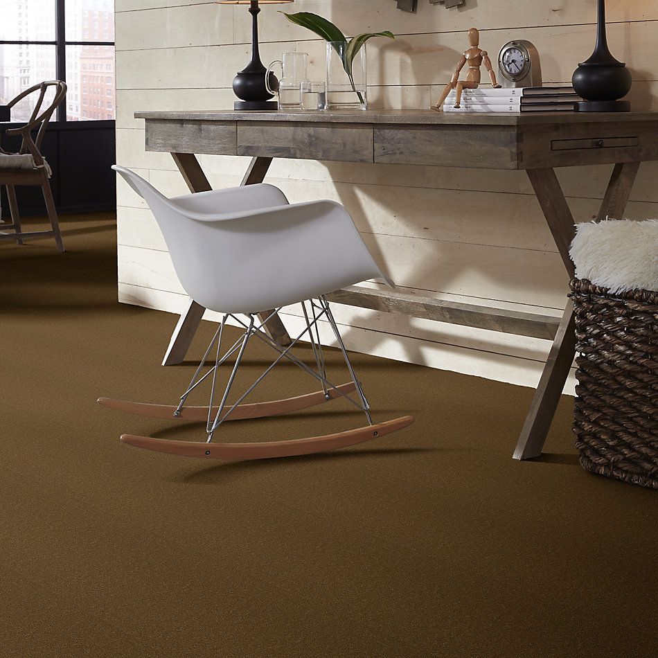 Patcraft Encore Collection Windsweptencore Pecan 00250_I0200