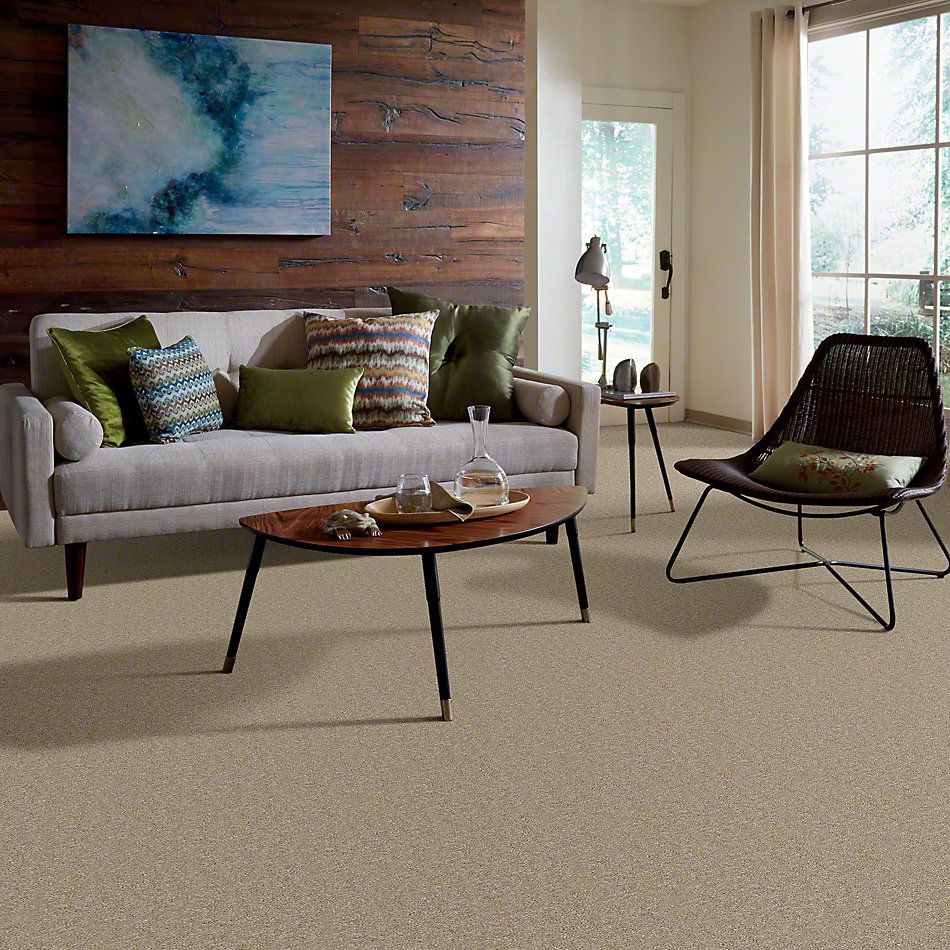 Shaw Floors Dyersburg Classic 12′ Straw Hat 00260_E0947