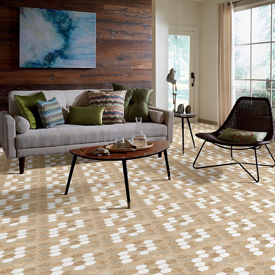 Shaw Floors Toll Brothers Ceramics Del Ray Hexagon Mosaic Golden Isle 00261_TLL26