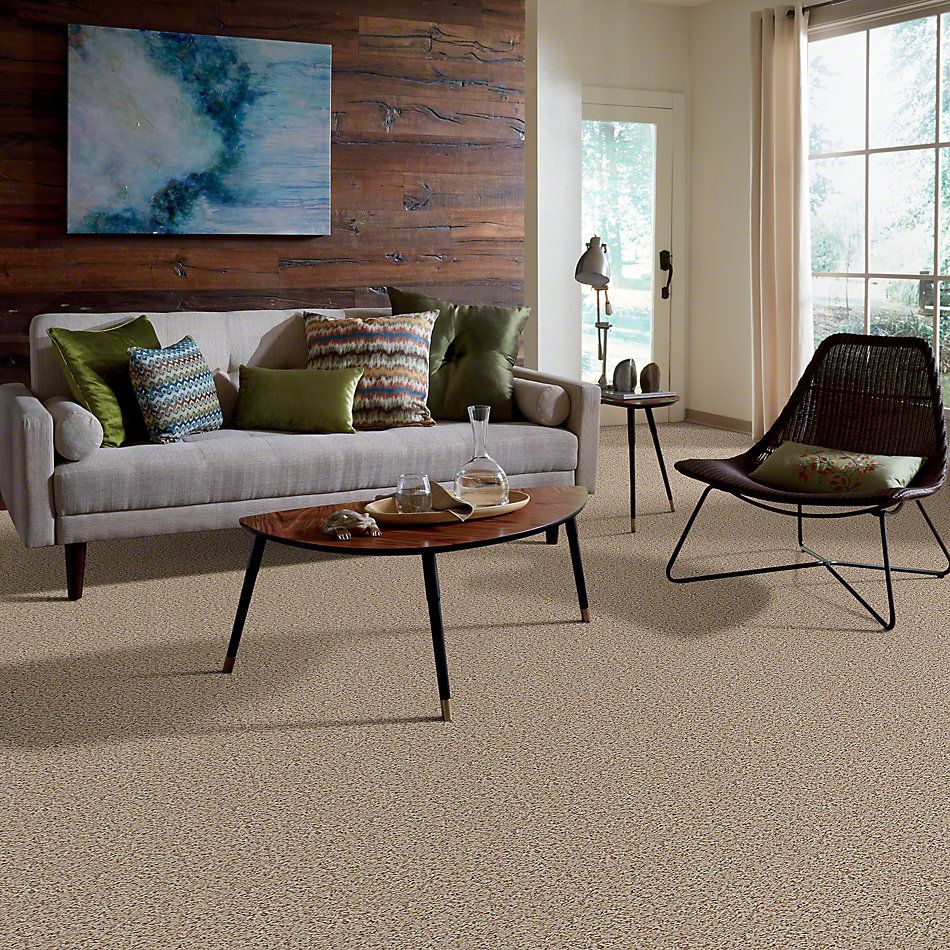 Shaw Floors Guess Work (b) Sandbox 52U00_00263