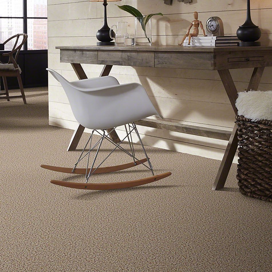 Shaw Floors Guess Work (b) Sandbox 52U00_00263