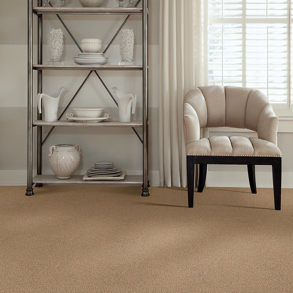 Shaw Floors Foundations Elemental Mix III Net Bridle Leather 00270_E9679
