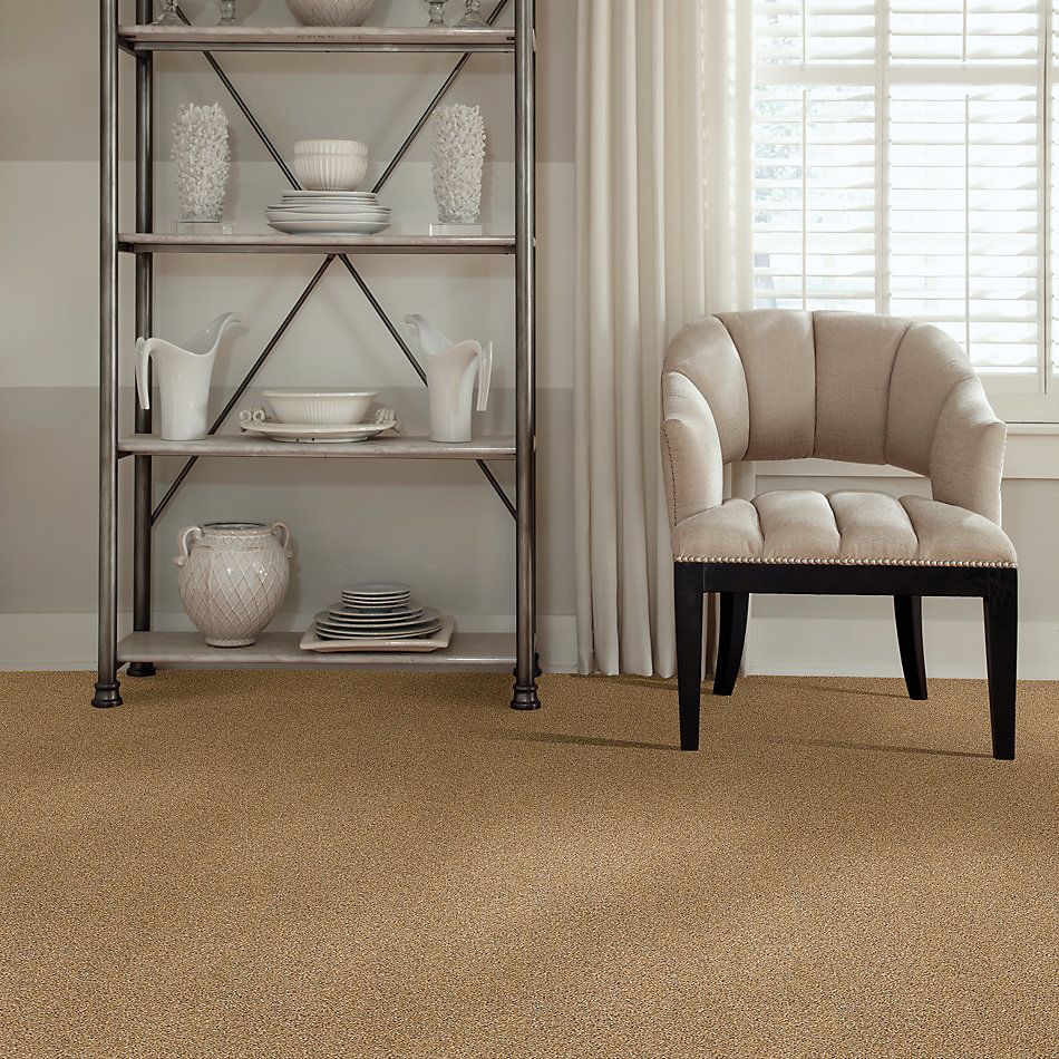 Anderson Tuftex Value Collections Ts476 Caramelo 00275_TS476
