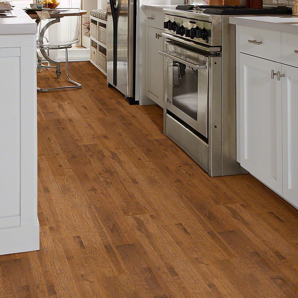 Shop Shaw Floors Home Fn Gold Laminate Winchester Hickory St. Johns