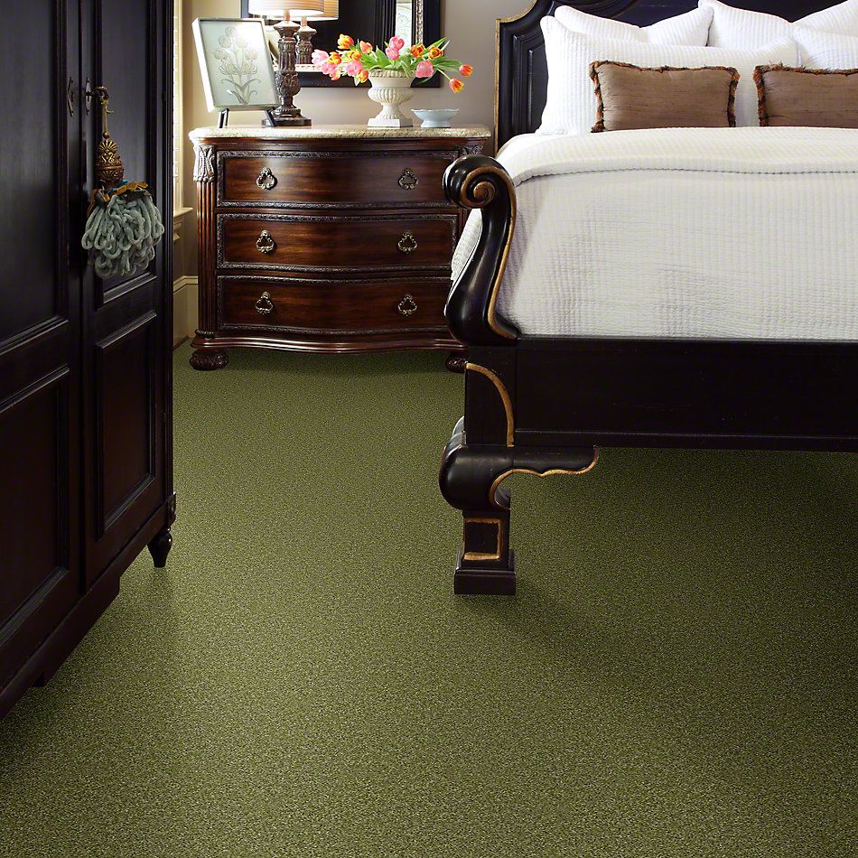 Shaw Floors Shaw Flooring Gallery Colesville 12′ Spring Valley 00300_5294G