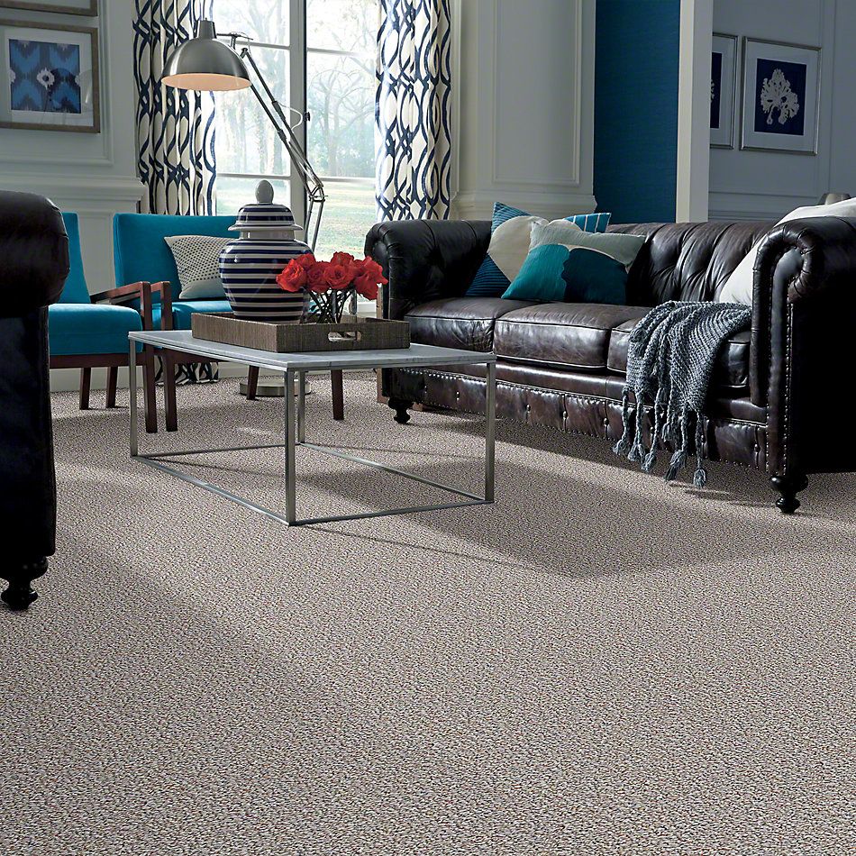 Shaw Floors Pure Waters 12 Tweed 52H10_00300