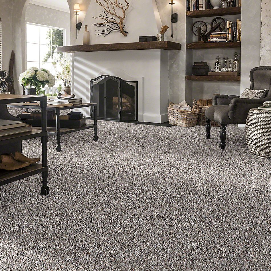 Shaw Floors Pure Waters 12 Tweed 52H10_00300
