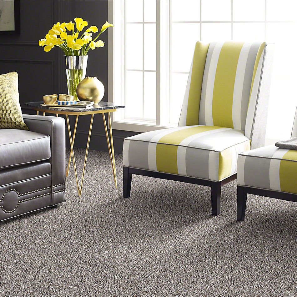 Shaw Floors Pure Waters 15 Tweed 52H11_00300