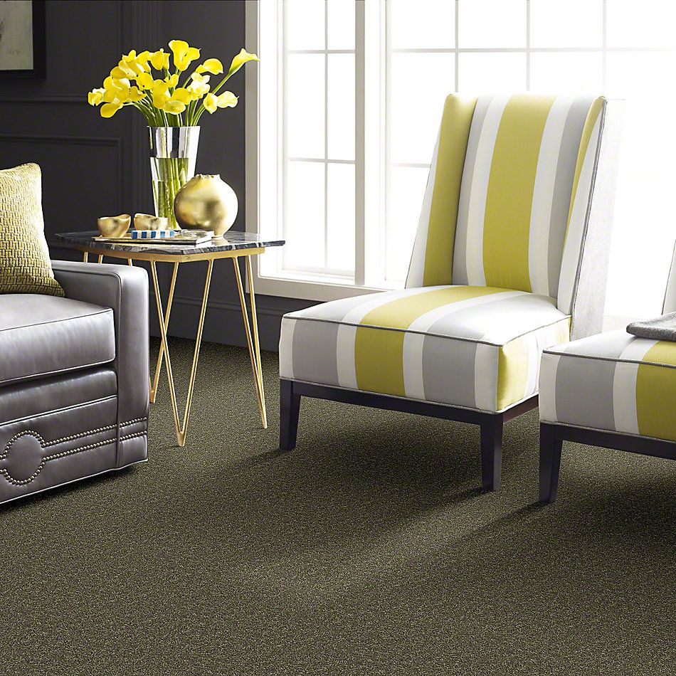 Shaw Floors Full Court 15′ Aloe 52Y82_00300