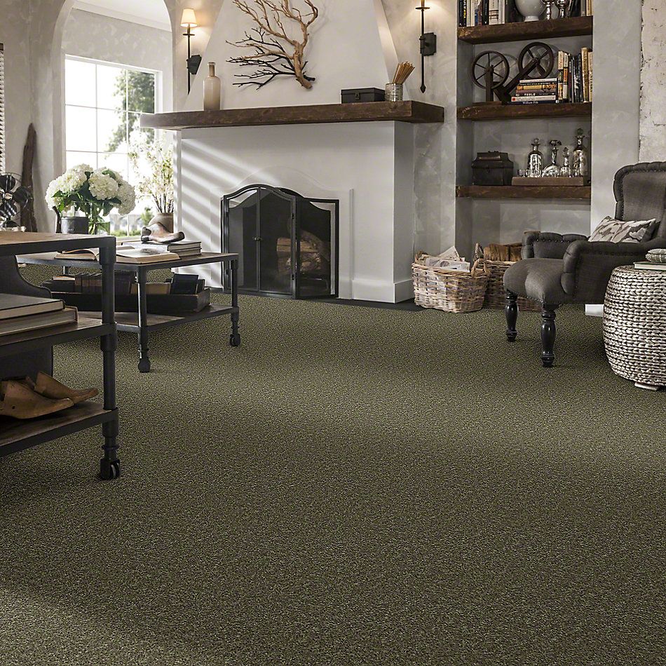 Shaw Floors Full Court 15′ Aloe 52Y82_00300