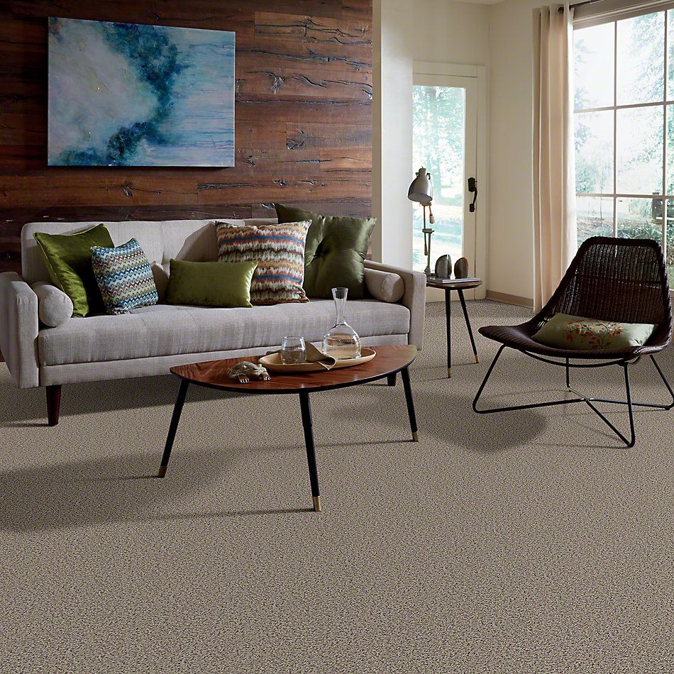 Shaw Floors Guess Work (s) River Moss 52T99_00300