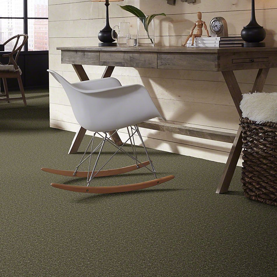 Shaw Floors Full Court 15′ Aloe 52Y82_00300