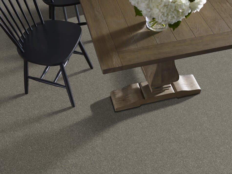 Shaw Floors Simply The Best Without Limits II Net Organic 00300_5E508