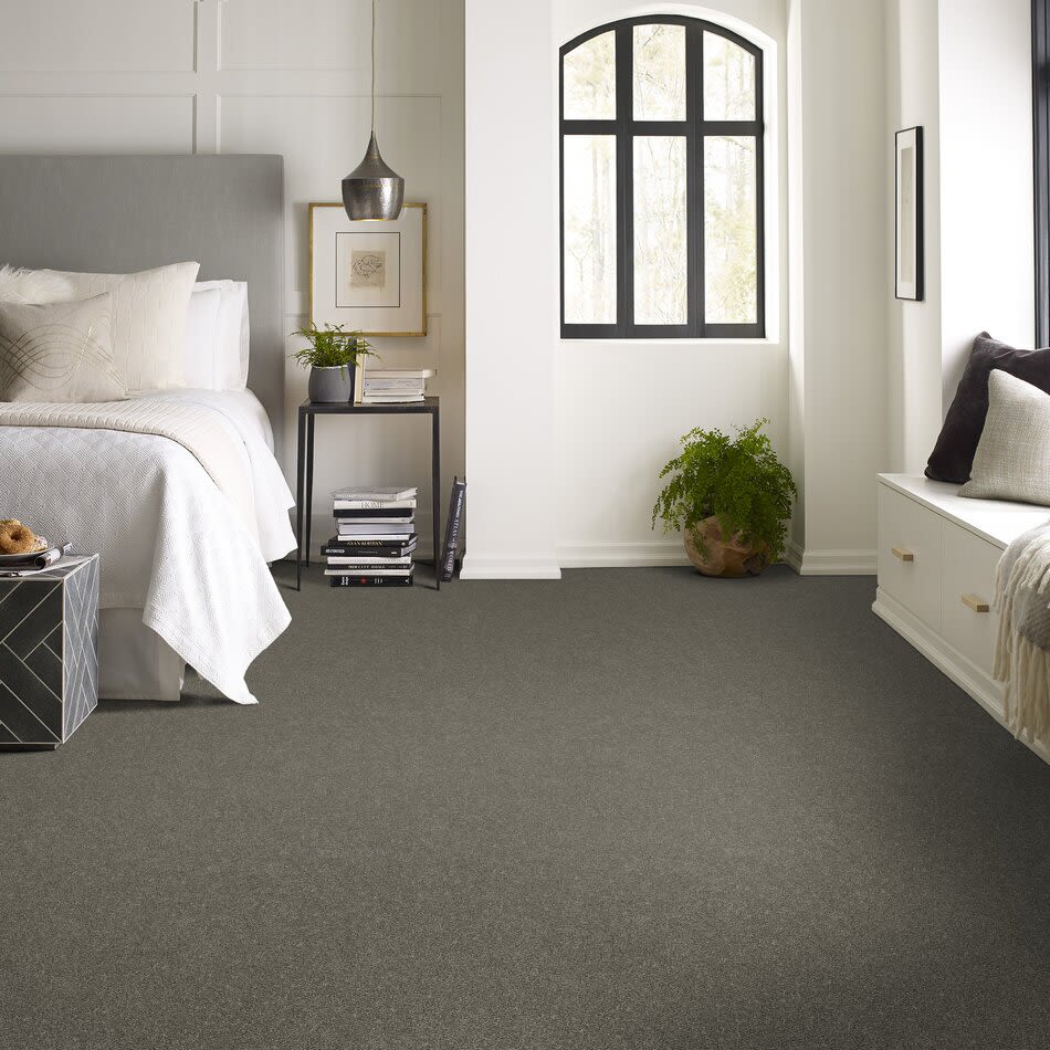 Shaw Floors Simply The Best Without Limits II Net Organic 00300_5E508