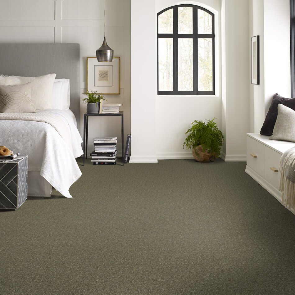Shaw Floors Property Essentials Forest City II 15 Aloe 00300_732F6