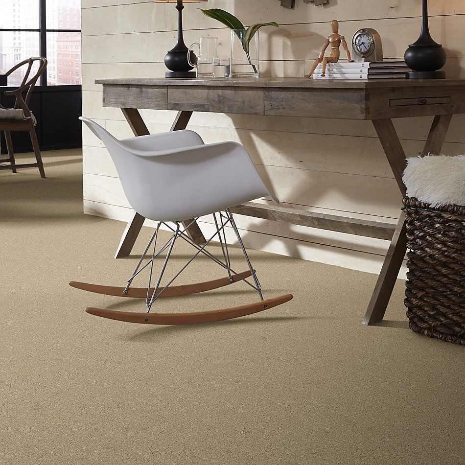 Shaw Floors Pelotage Iv Romney Marsh 00300_746A8