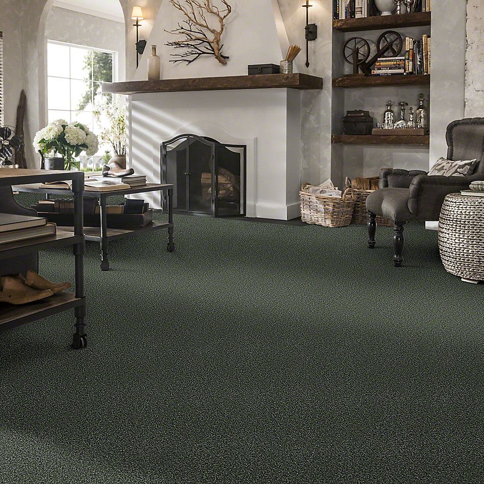 Shop Shaw Floors Foundations Exploration Lush 00300_EA701 ...