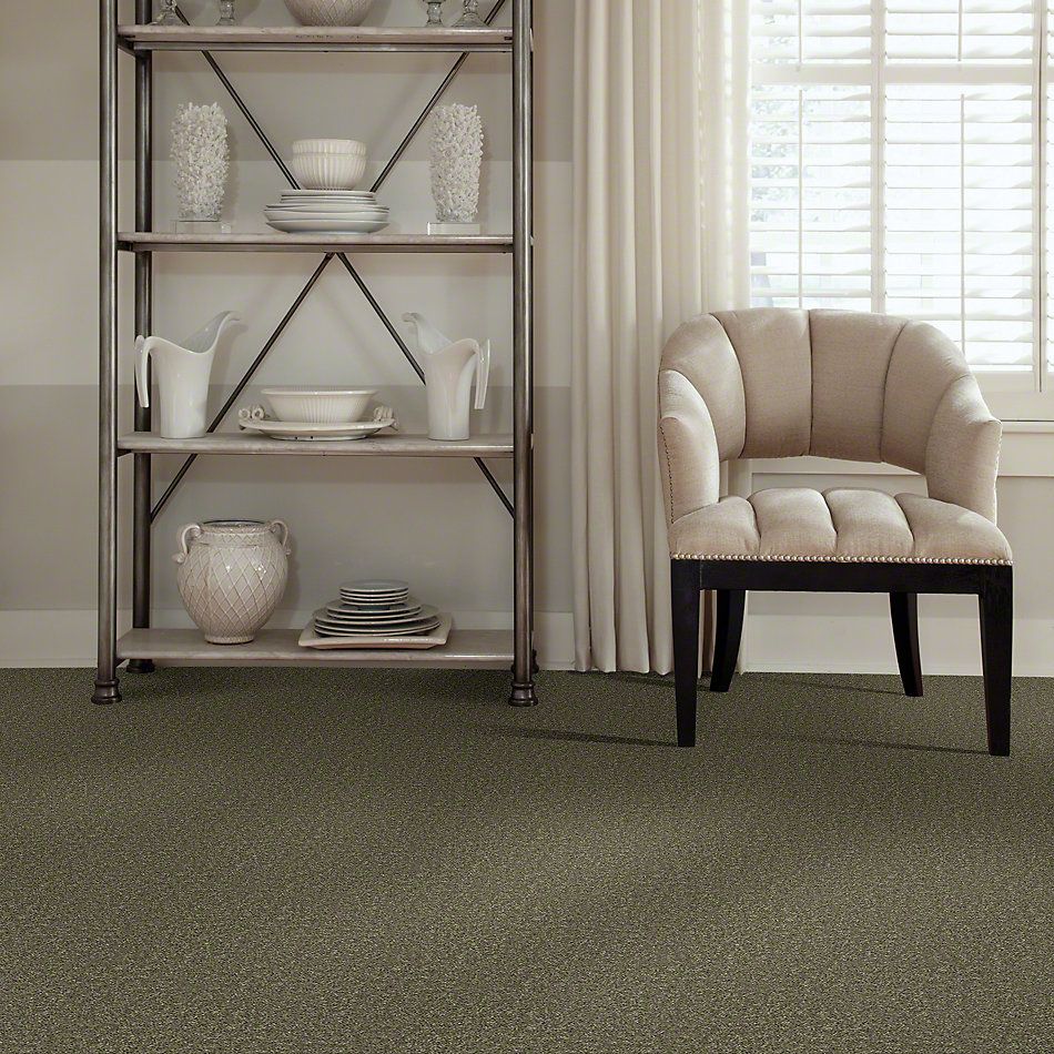 Shaw Floors Value Collections All Star Weekend II 12′ Net Aloe 00300_E0814