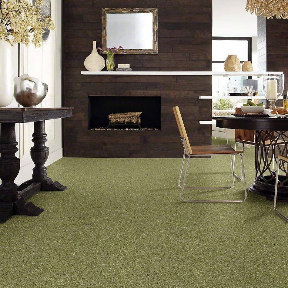 Shaw Floors Make It Yours (s) Spring Valley 00300_E0819