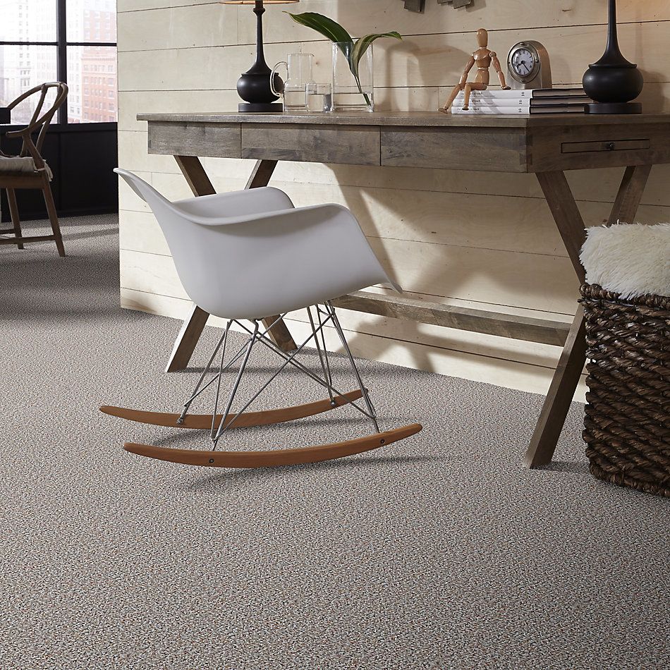 Shaw Floors Value Collections Pure Waters 12′ Net Tweed 00300_E9279