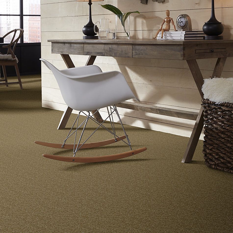 Shaw Floors Value Collections Passageway 3 Net Celery 00300_E9377