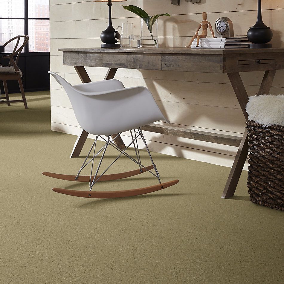 Patcraft Encore Collection Windsweptencore Harmony 00300_I0200