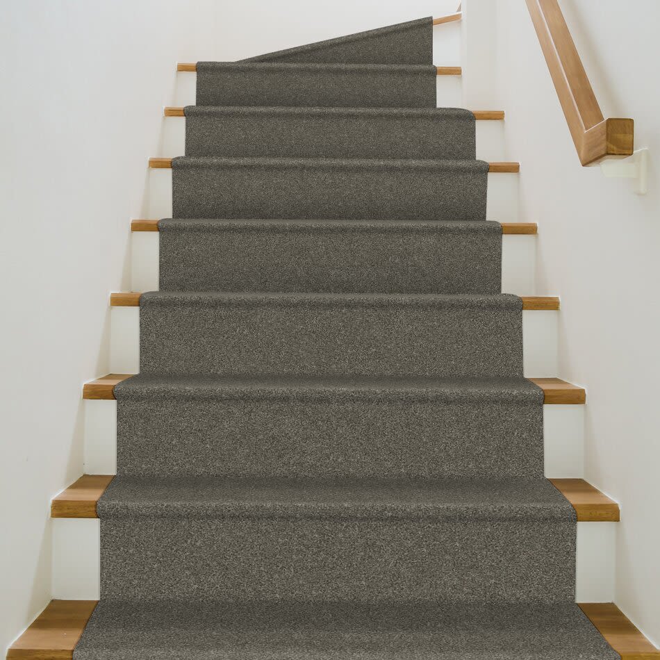 Shaw Floors Nfa Provisional II Organic 00300_NA519