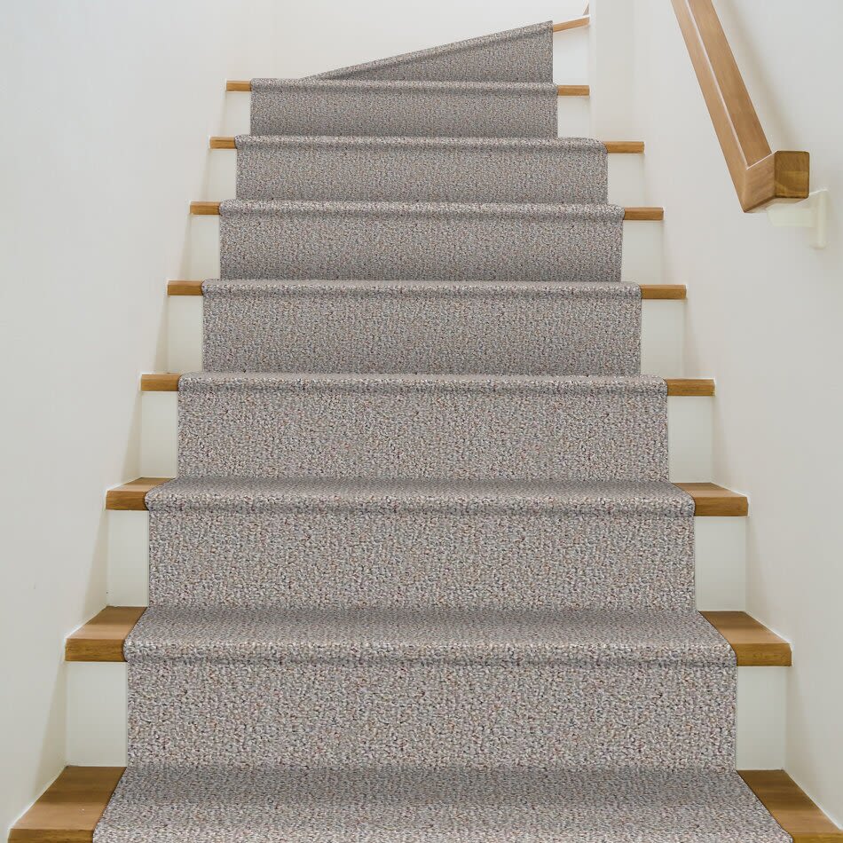 Shaw Floors Roll Special First Call 15 Tweed 00300_SP612