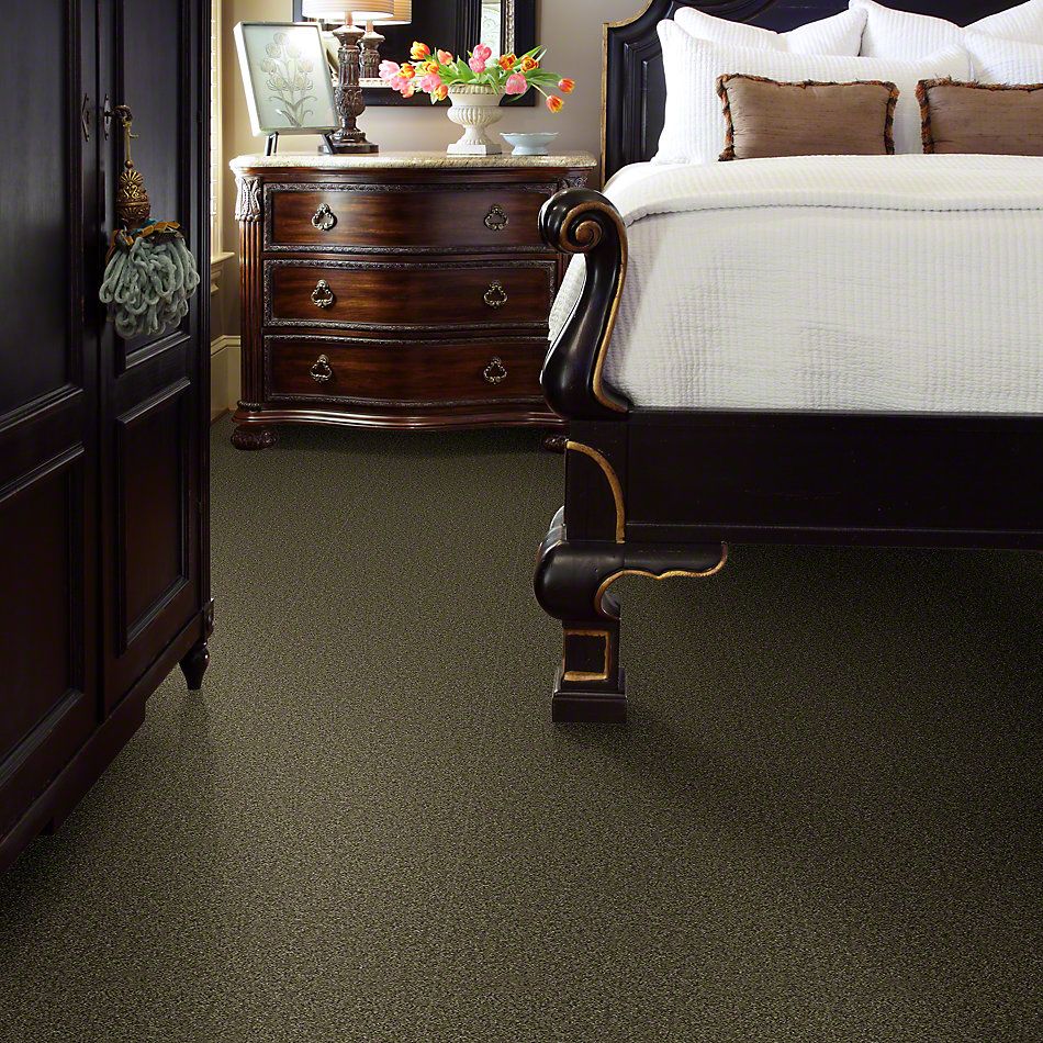 Shaw Floors Shaw Flooring Gallery Chromatic Harbor Moss 53633_00301