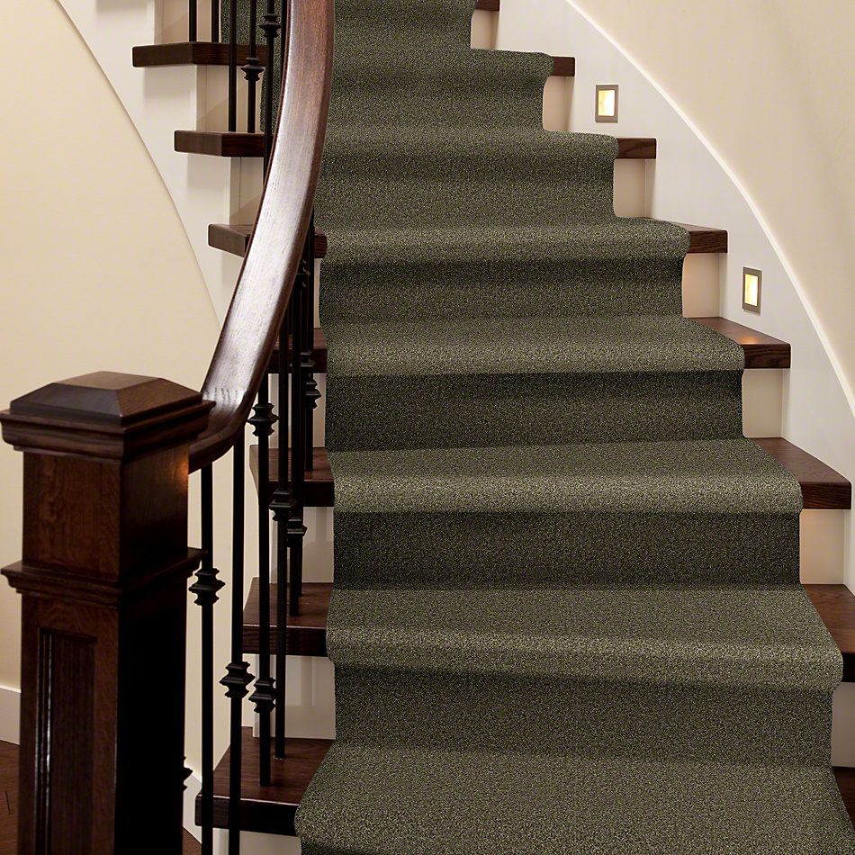 Shaw Floors Shaw Flooring Gallery Chromatic Harbor Moss 53633_00301