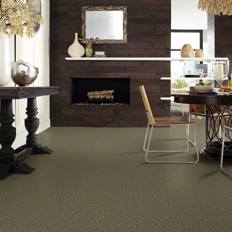 Shaw Floors Shaw Flooring Gallery Chromatic Harbor Moss 53633_00301