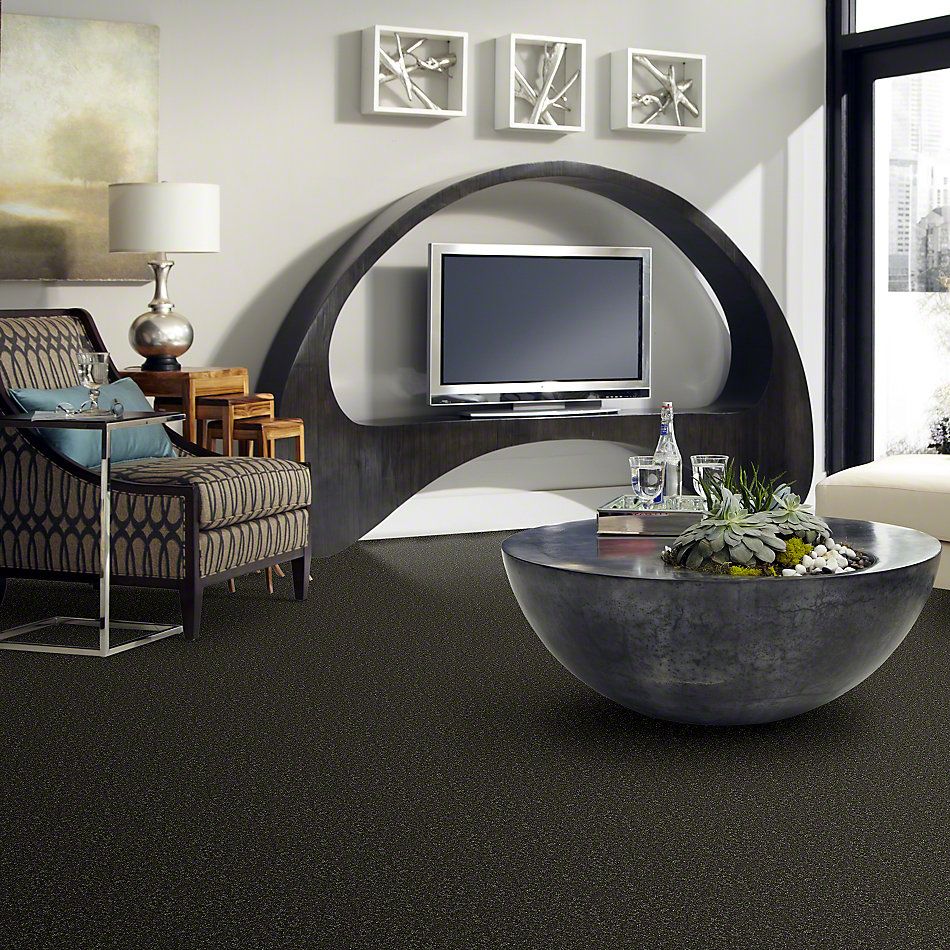 Shaw Floors Full Court 12′ Garden Grove 52Y46_00301
