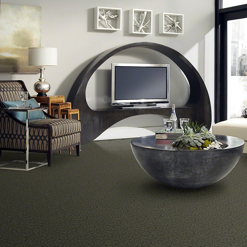 Shaw Floors Full Court 15′ Garden Grove 52Y82_00301