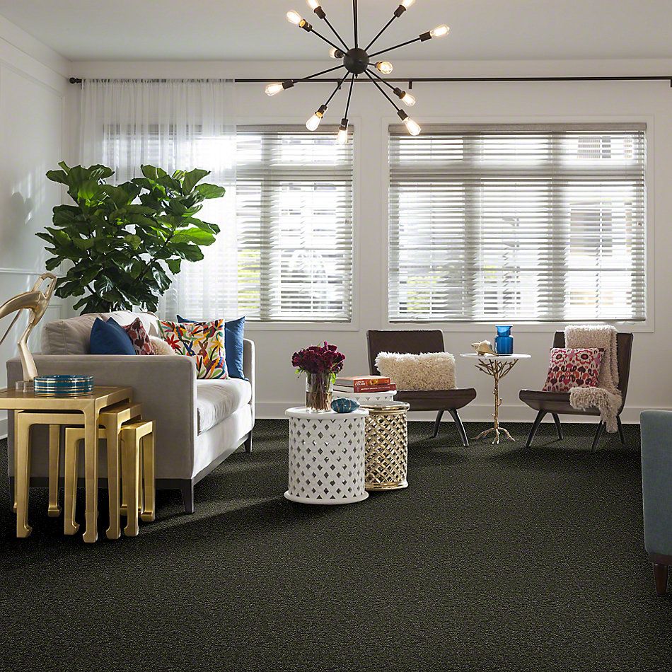 Shaw Floors Full Court 15′ Garden Grove 52Y82_00301