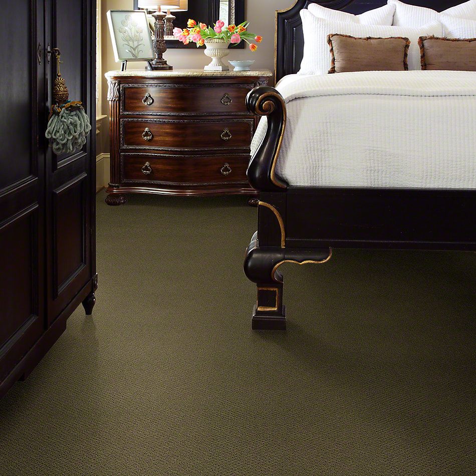 Shaw Floors Shaw Design Center Proven Identity Loop Summerhouse 00301_5C695