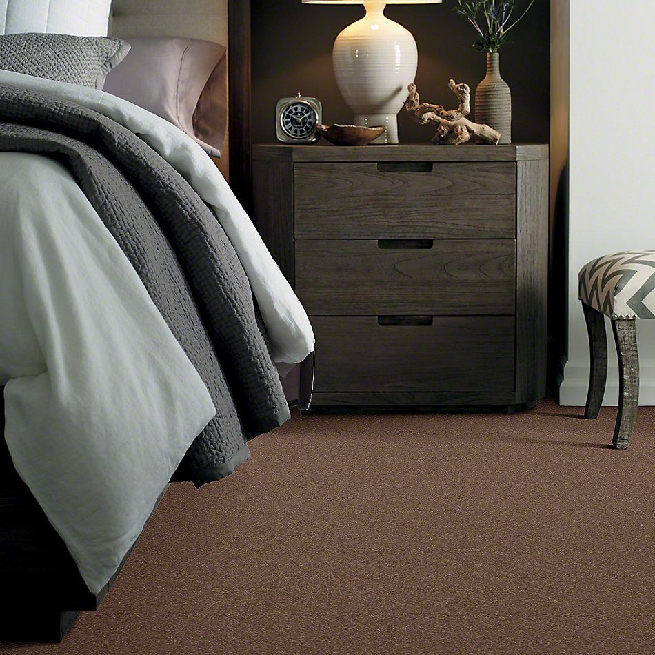 Shaw Floors Shaw Flooring Gallery Truly Modern I 12′ Mojave 00301_Q263G