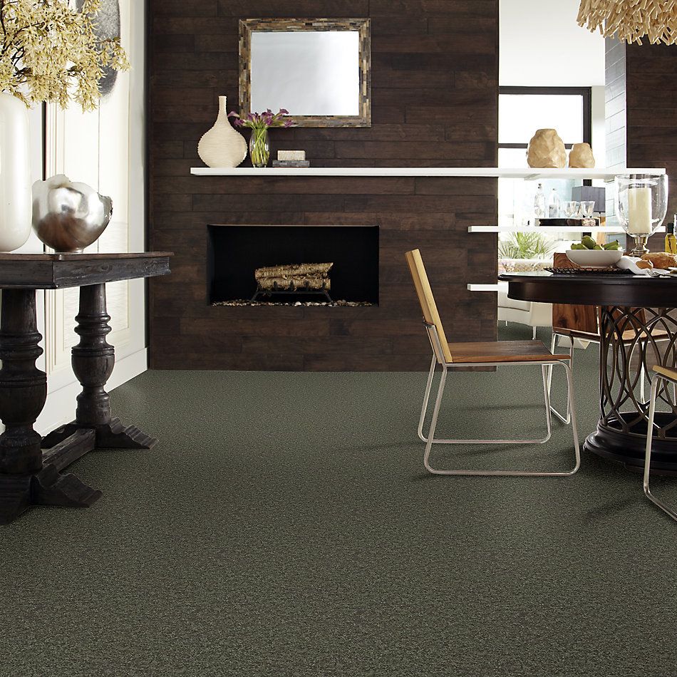 Shaw Floors Value Collections All Star Weekend I 12 Net Garden Grove 00301_E0792